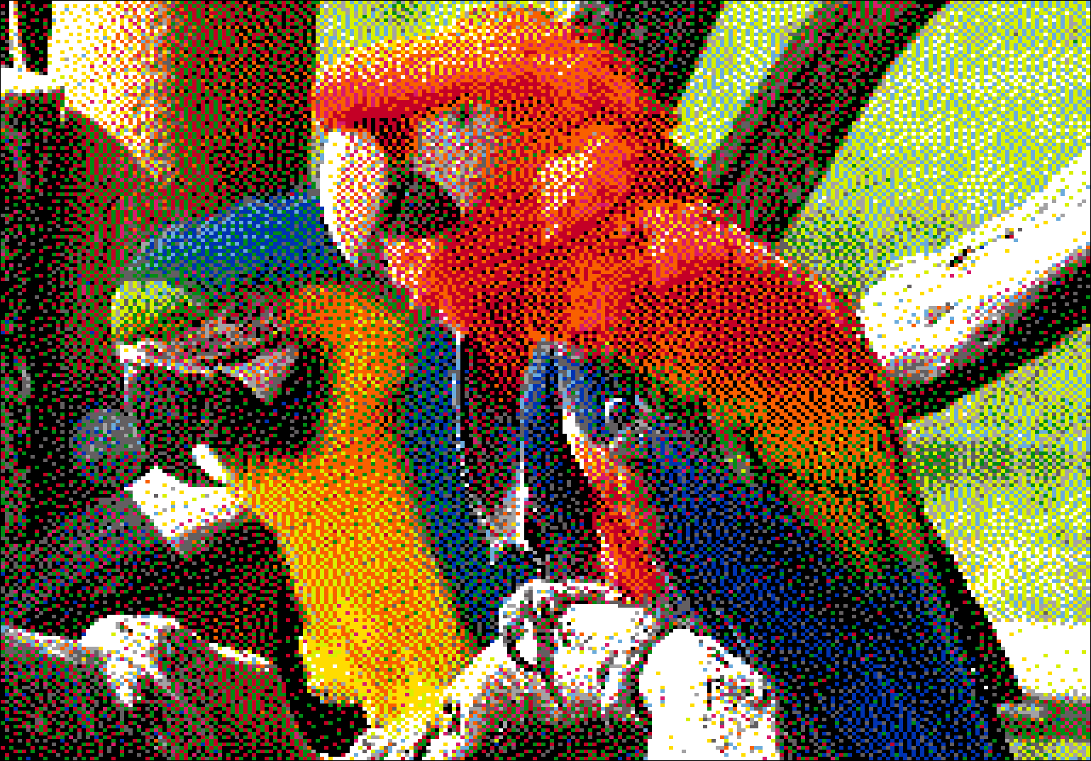 Parrots